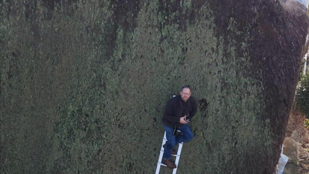 Diagnostic des dégradations prématurées des toitures en chaume : le cas du  parc naturel régional de Brière